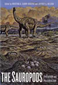 The Sauropods