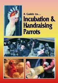 A Guide to Incubation & Handraising Parrots