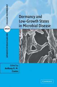 Dormancy and Low Growth States in Microbial Disease