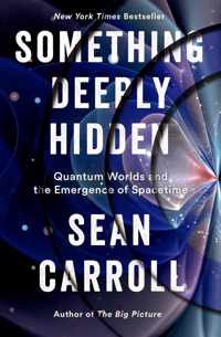 Something Deeply Hidden Quantum Worlds and the Emergence of Spacetime