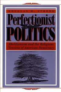 Perfectionist Politics