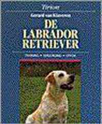 De Labrador Retriever