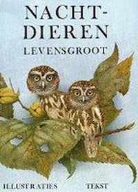 Nachtdieren levensgroot