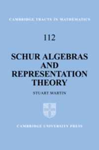 Schur Algebras and Representation Theory