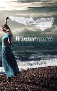 Winternacht