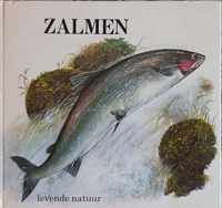 Zalmen