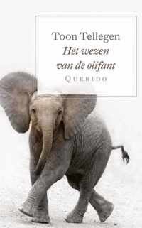 Het wezen van de olifant