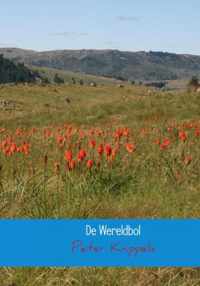 De wereldbol - Peter Knippels - Paperback (9789402132816)