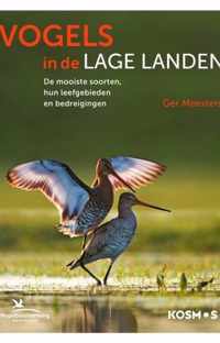 Vogels in de lage landen