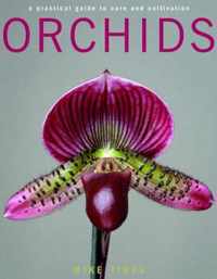 Orchids