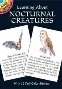 Learning About Nocturnal Creatures