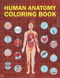 Human Anatomy Coloring Book