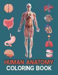 Human Anatomy Coloring Book