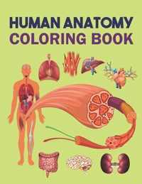 Human Anatomy Coloring Book