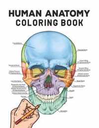 Human Anatomy Coloring Book