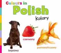 Colours in Polish