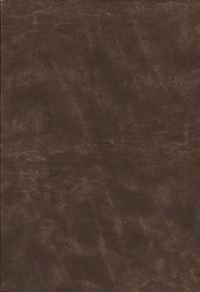 NIV, Life Application Study Bible, Third Edition, Large Print, Bonded Leather, Brown, Red Letter, Thumb Indexed