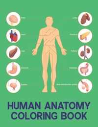 Human Anatomy Coloring Book