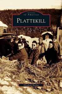 Plattekill