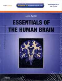 Essentials of the Human Brain