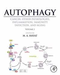 Autophagy: Cancer, Other Pathologies, Inflammation, Immunity, Infection, and Aging