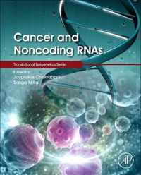 Cancer and Noncoding RNAs