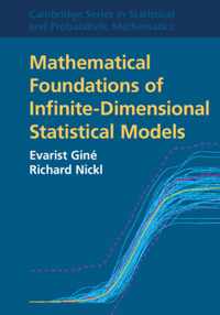 Mathematical Foundations of Infinite-Dimensional Statistical Models