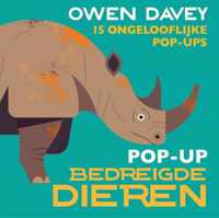 Pop-up bedreigde dieren - Owen Davey - Hardcover (9789464041903)