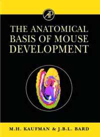 The Anatomical Basis of Mouse Development