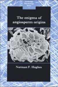 The Enigma of Angiosperm Origins