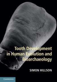 Tooth Development In Human Evolution & B