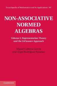 Non-Associative Normed Algebras