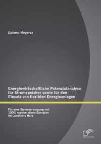 Energiewirtschaftliche Potenzialanalyse fur Stromspeicher sowie fur den Einsatz von flexiblen Energieanlagen