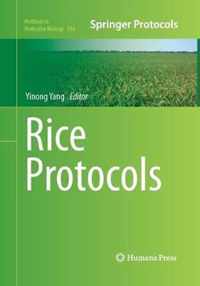 Rice Protocols