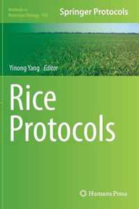 Rice Protocols