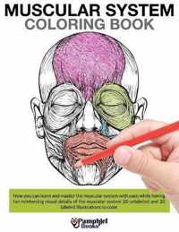 Muscular System Coloring Book