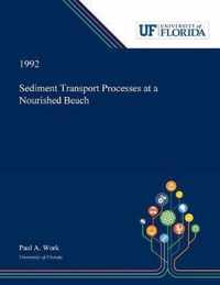 Sediment Transport Processes at a Nourished Beach