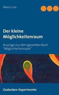 Der kleine Moeglichkeitenraum