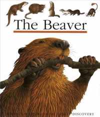 The Beaver