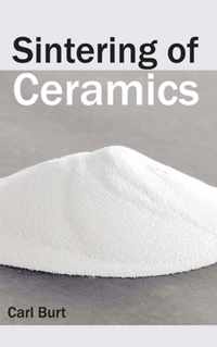 Sintering of Ceramics