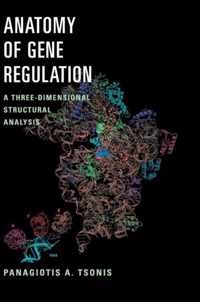 Anatomy of Gene Regulation