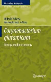 Corynebacterium glutamicum