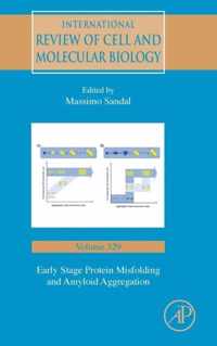 Early Stage Protein Misfolding and Amyloid Aggregation