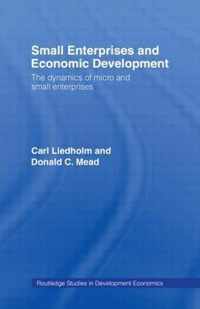 Small Enterprises and Economic Development