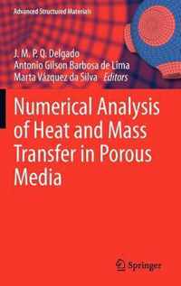 Numerical Analysis of Heat and Mass Transfer in Porous Media