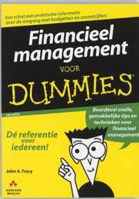 Voor Dummies  -   Financieel management voor Dummies