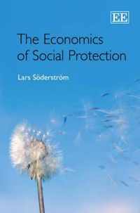 The Economics of Social Protection