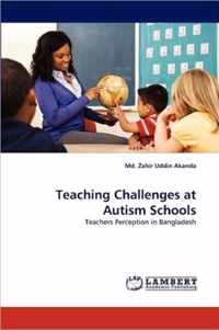 Teaching Challenges at Autism Schools