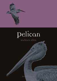 Pelican