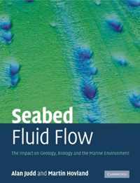 Seabed Fluid Flow